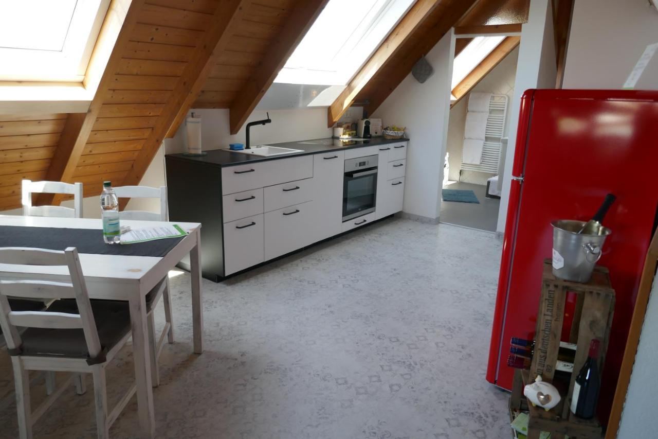 Moderne 2 Zi - Fewo Weinbergliebe Am Tuniberg Zwischen Freiburg Und Frankreich Merdingen Exteriör bild